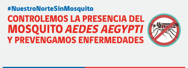 banner-mosquito-aedes_660x300